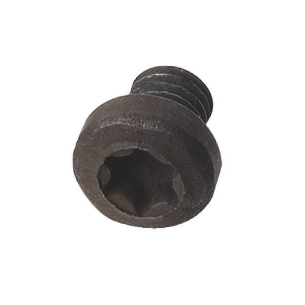 Torx skrúfa M3x4x5,7